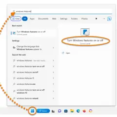 Wyszukiwanie funkcji Windows w systemie Windows 11. Wpisano "windows features", a system sugeruje "Turn Windows features on or off".