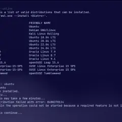 Próba instalacji Ubuntu przez WSL na Windows 11 zakończona błędem 0x80370114.