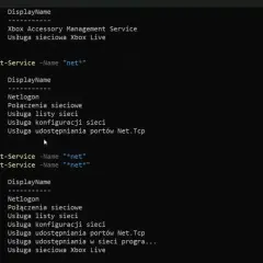 Wiersz poleceń Windows PowerShell wyświetla listę usług sieciowych, niektóre zatrzymane, inne działające.