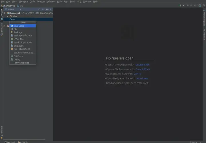 Menu kontekstowe w IntelliJ IDEA, gdzie można wybrać "Java Class" do stworzenia nowej klasy.