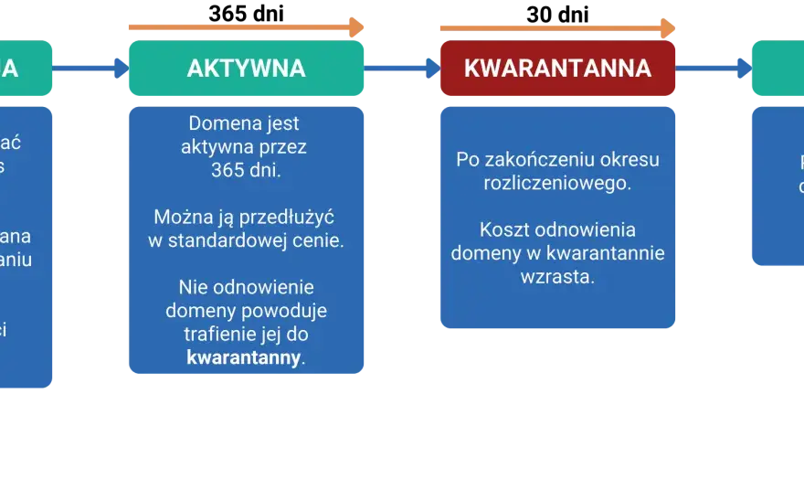 Transient czy scoped w .NET? Praktyczny wybór cyklu życia usług
