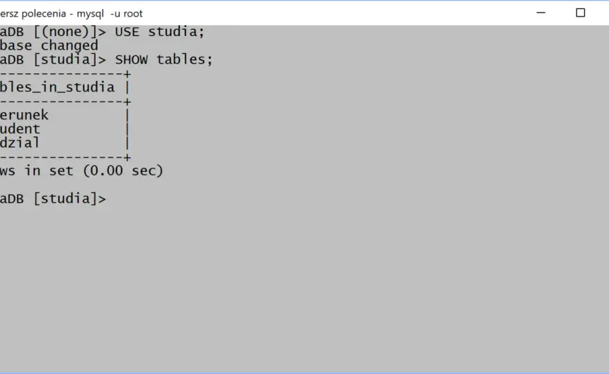 MySQL subquery w praktyce - IN, EXISTS i wydajne zapytania